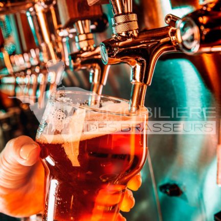 Bar - Bar à bière - Brasserie - Strasbourg - Alsace - Brasseurs - Achat – Vente – Cession – Fonds de commerce – CHR – Licence IV – Licence 4