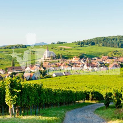 Alsace - Restaurant - Bar - Brasserie - Café - Salon de thé - Achat – Vente – Cession – Fonds de commerce – CHR – Licence IV – Licence 4