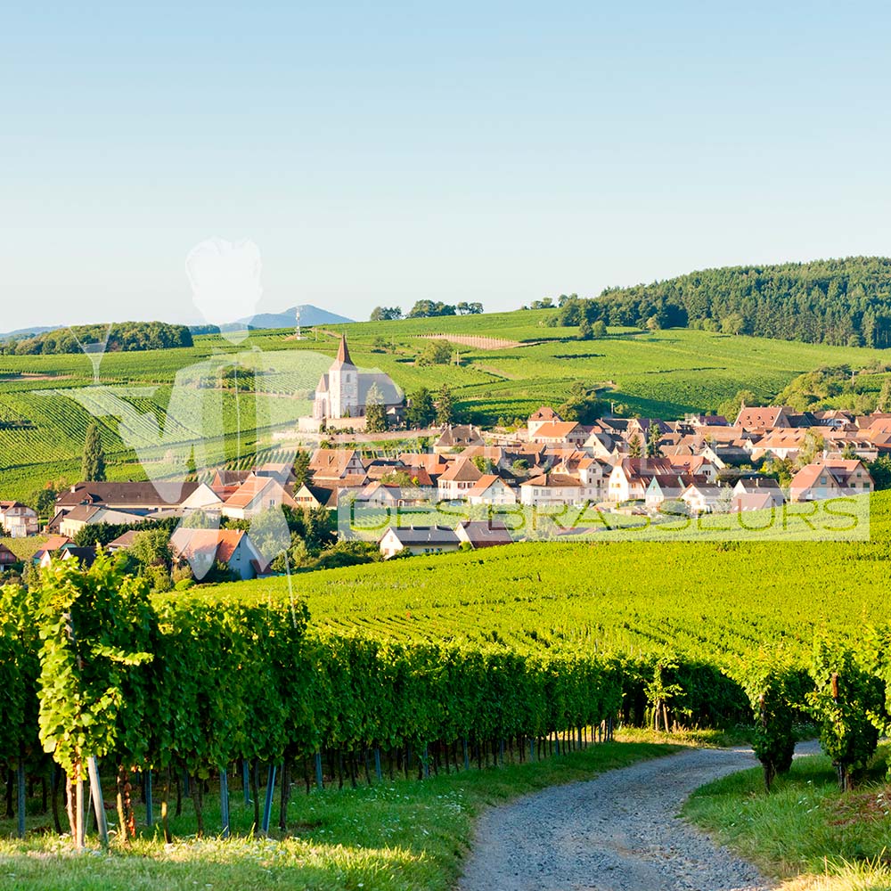 Alsace - Restaurant - Bar - Brasserie - Café - Salon de thé - Achat – Vente – Cession – Fonds de commerce – CHR – Licence IV – Licence 4
